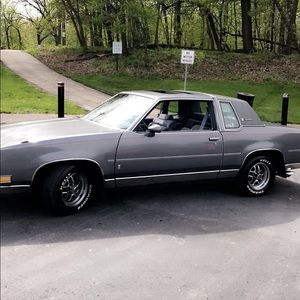 Meet your Posher, Larry